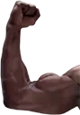 MuscleL