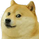 doge