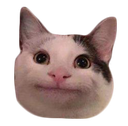 TZG_PoliteCat Discord emoji