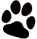paw