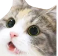 ohhhh