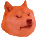 dogeMad