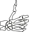 skelethumbsup