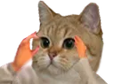 chatalors