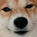 chonk