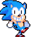 saniRun
