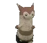 FurretDance FurretDance