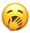 yawn yawn
