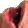 poggestUp poggestUp