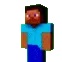 fortDefaultSteve