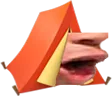 PogCamp