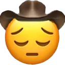 sad_yeehaw