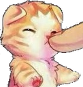 :boop: Discord Emote