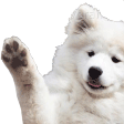 :doggowave: Discord Emote