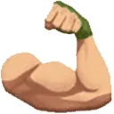 fortFlexR fortFlexR