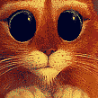 :cutePuss: Discord Emote