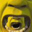 :shrekLoop: Discord Emote