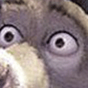 :donkeyWTFW: Discord Emote