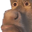 :donkSad: Discord Emote