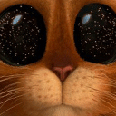:pussTrippin: Discord Emote