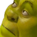 :shrekConcern: Discord Emote