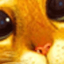 :pussCutest: Discord Emote
