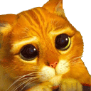 :pussCute: Discord Emote
