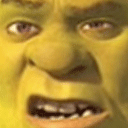 :shrekWut: Discord Emote