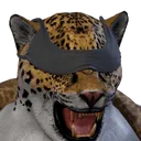 blindKing blindKing