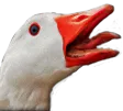 esoog_tep esoog_tep