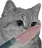 :chassassin: chassassin