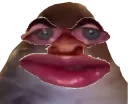 bruh_face