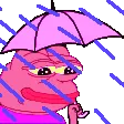PepeRainp