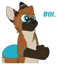 FurryBoi