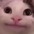 welpcat Discord emoji