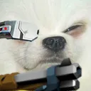 DoggoScout DoggoScout