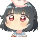 RimiPat RimiPat
