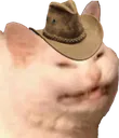 YeeKot