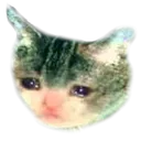 sadcat