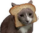 Catstuckinbread Catstuckinbread