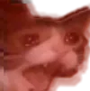 sadcatfrustrated