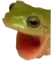 Froggers