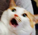shocked
