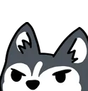 AngryHusky