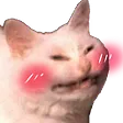 ao101_CatBlush