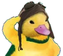 DuckSalute DuckSalute