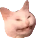 lemoncat Discord Emoji