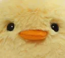 VERYfriendlyduck