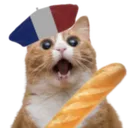 frenchkot frenchkot