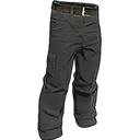 pants pants